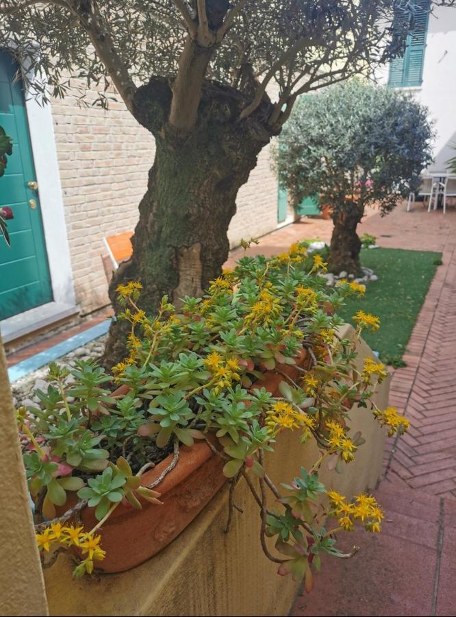 B&B La Chicca Ravenna Exterior foto